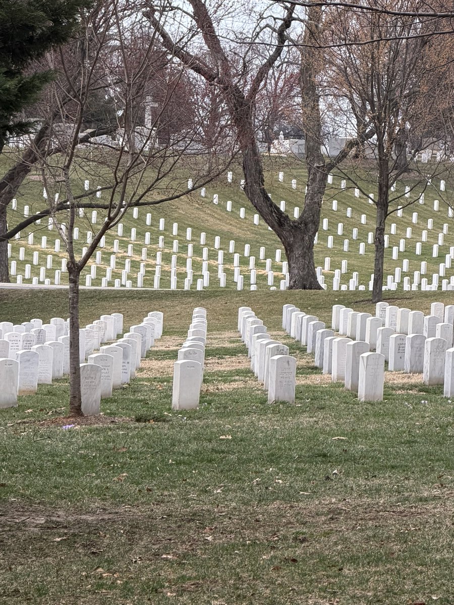 Boston Rob tweet media