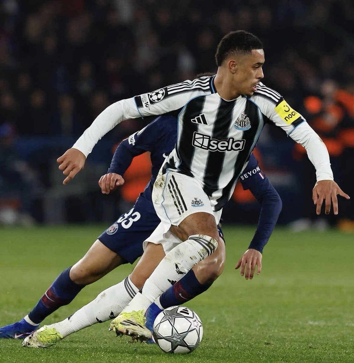 TomTalksToon tweet media