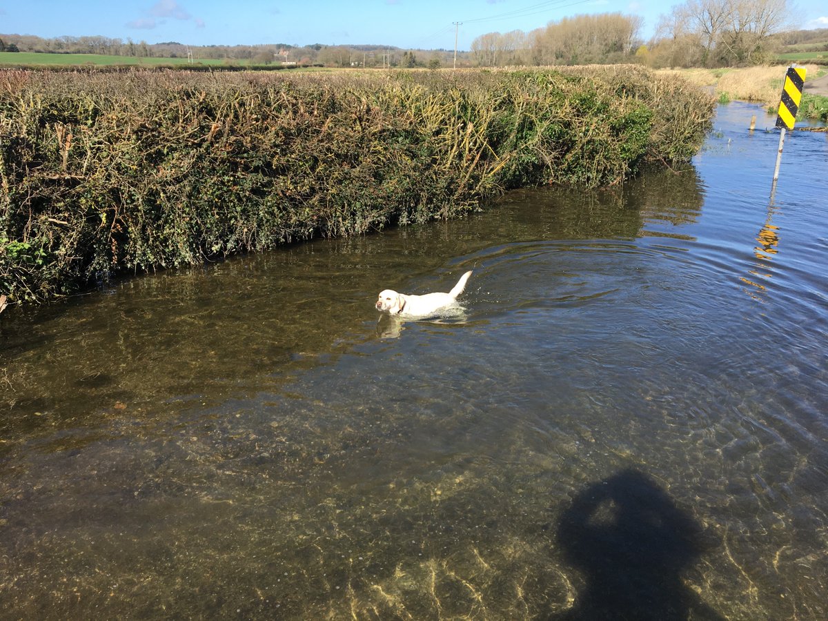 Peter Weedon tweet media