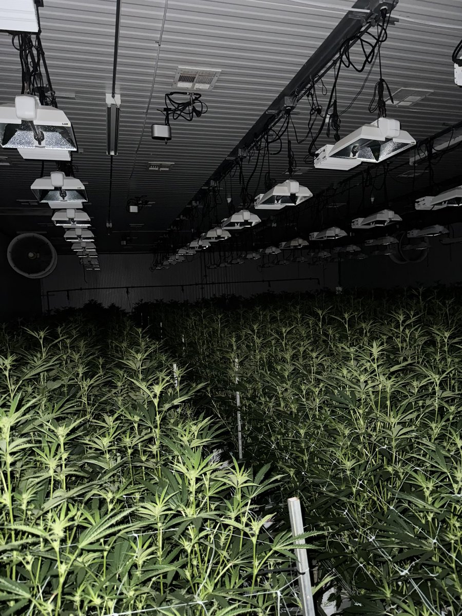 Yellowthumb tweet media