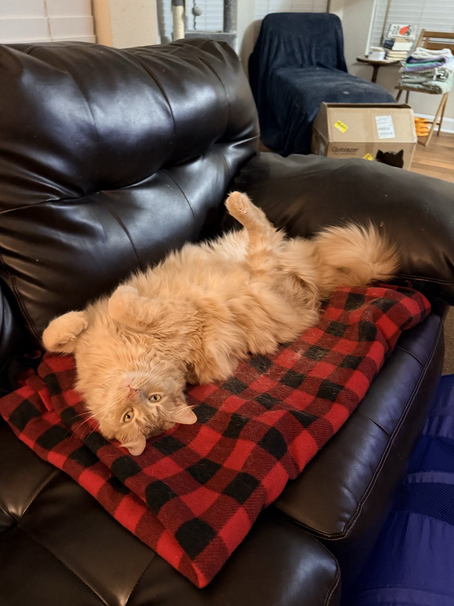 Wooden Nickel tweet media