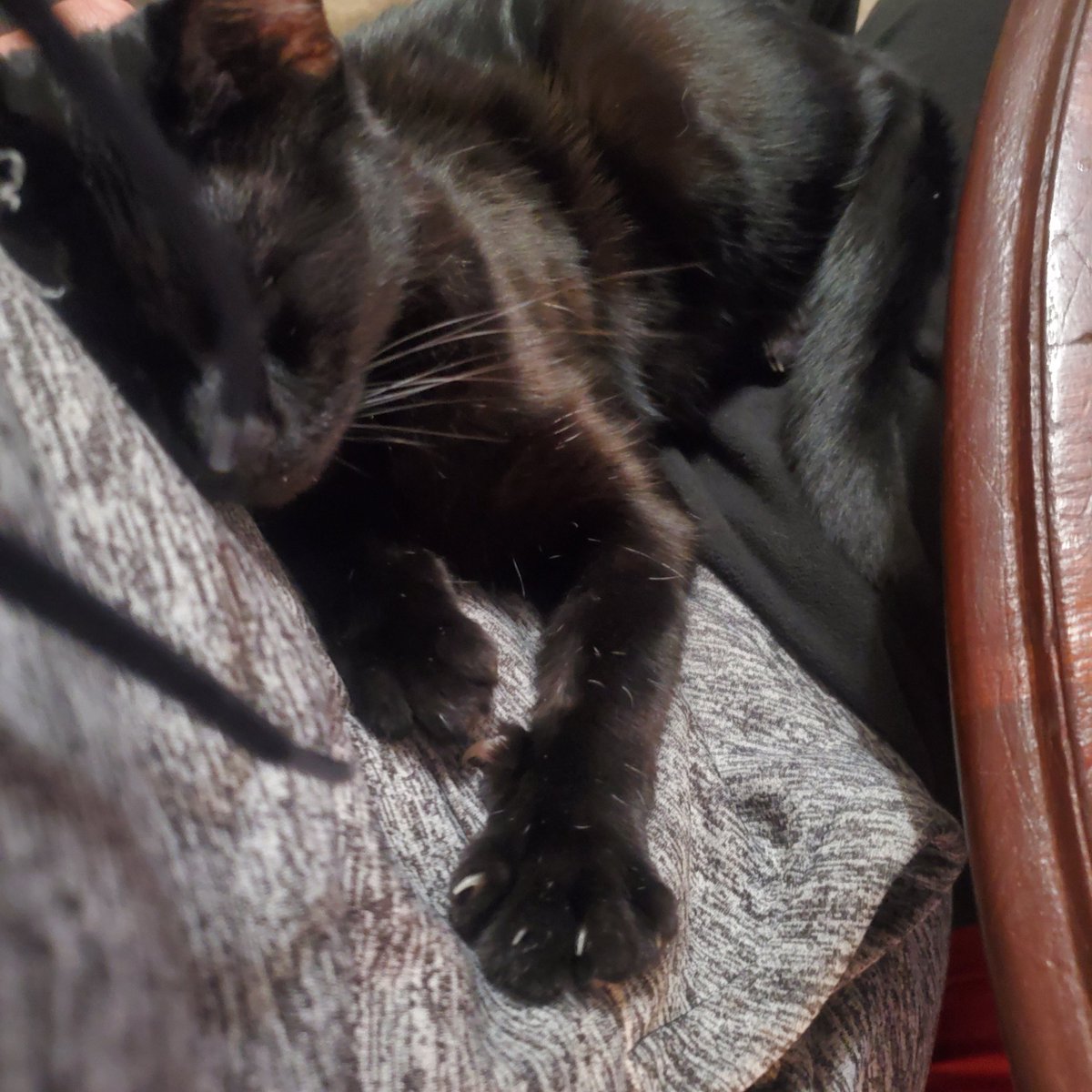 Finderfound.tgn tweet media