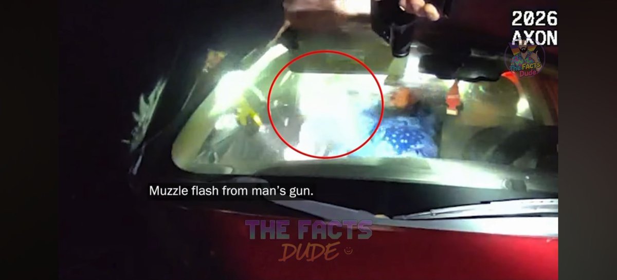 Peregrino Gris ✈️ tweet media