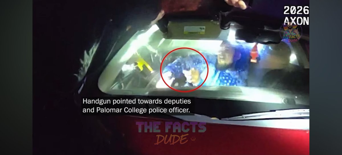 Peregrino Gris ✈️ tweet media