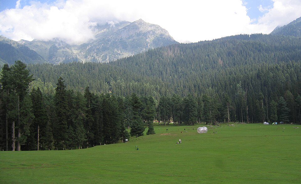 Drew Pavlou 🇦🇺🇺🇸🇺🇦🇹🇼 tweet media