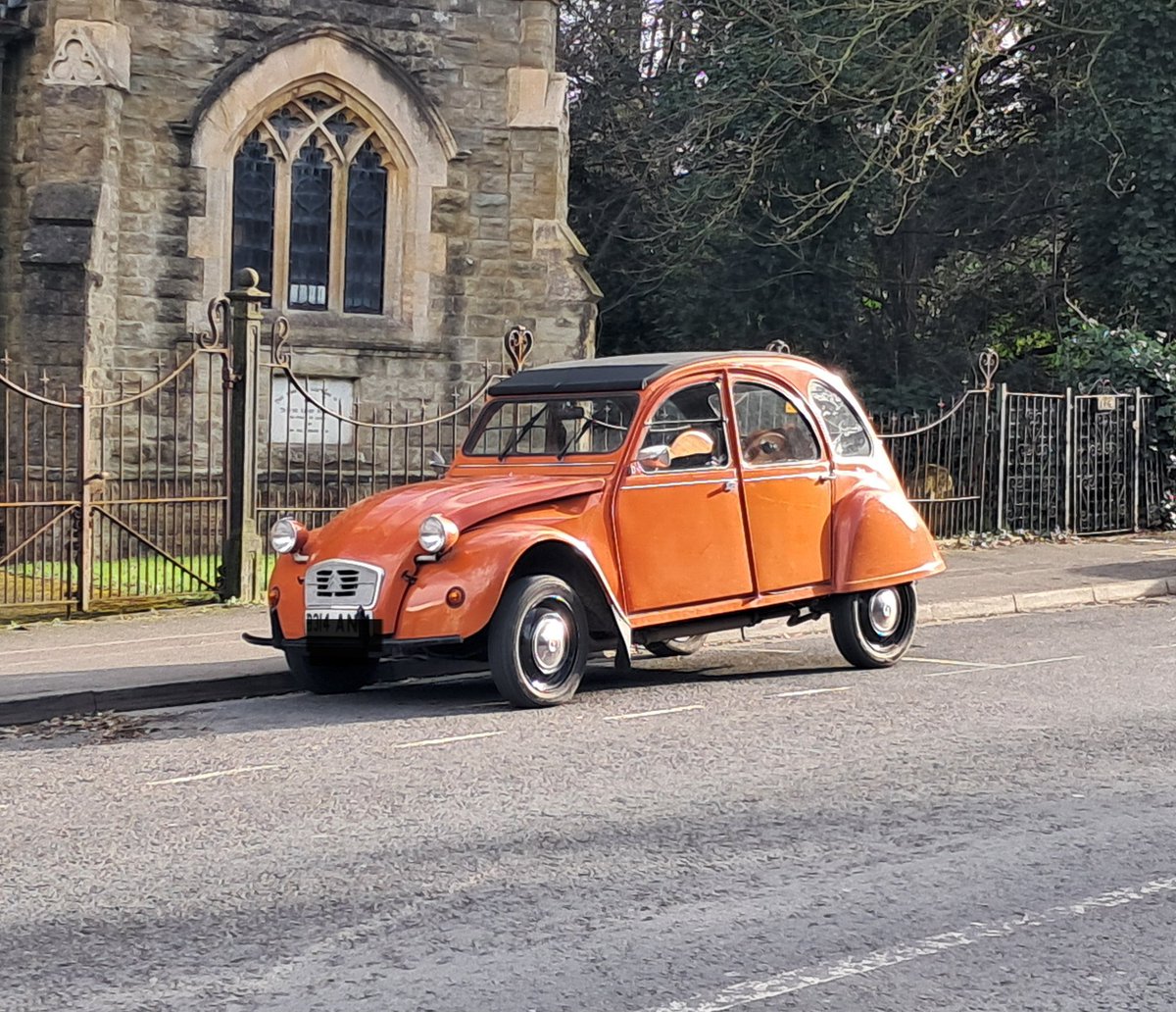 Tim Behan tweet media