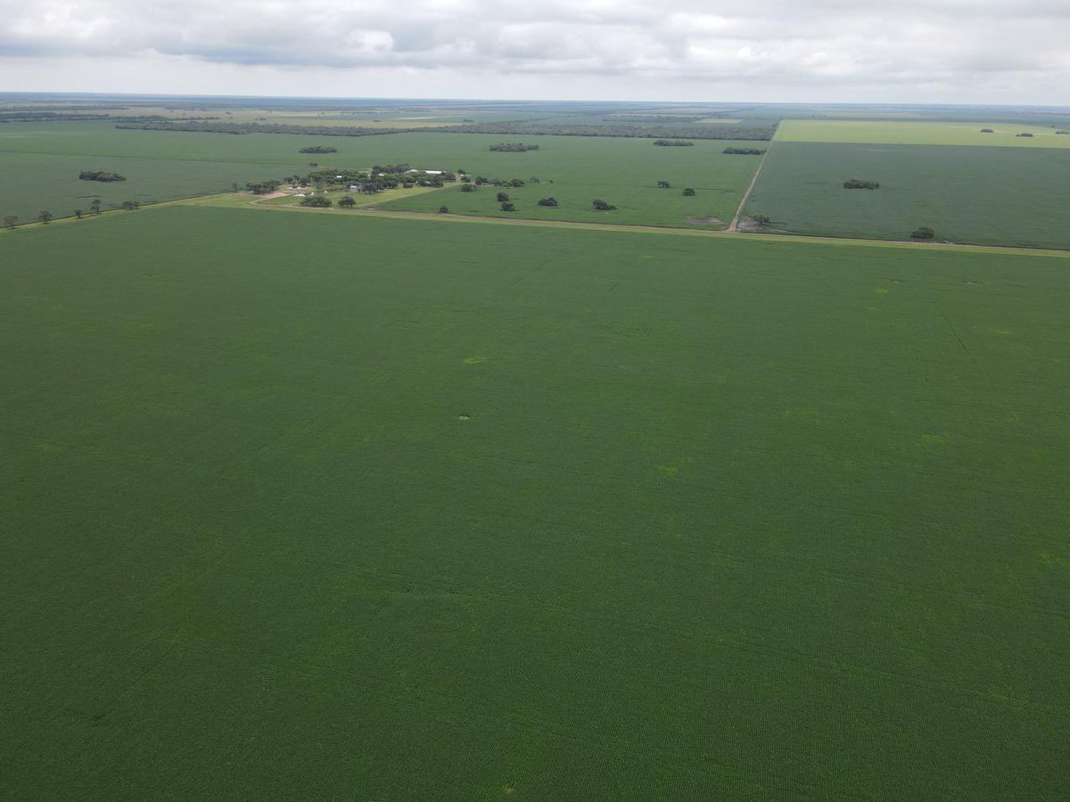 Grupo Charata tweet media