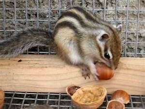 Flavio (❖,❖) tweet media