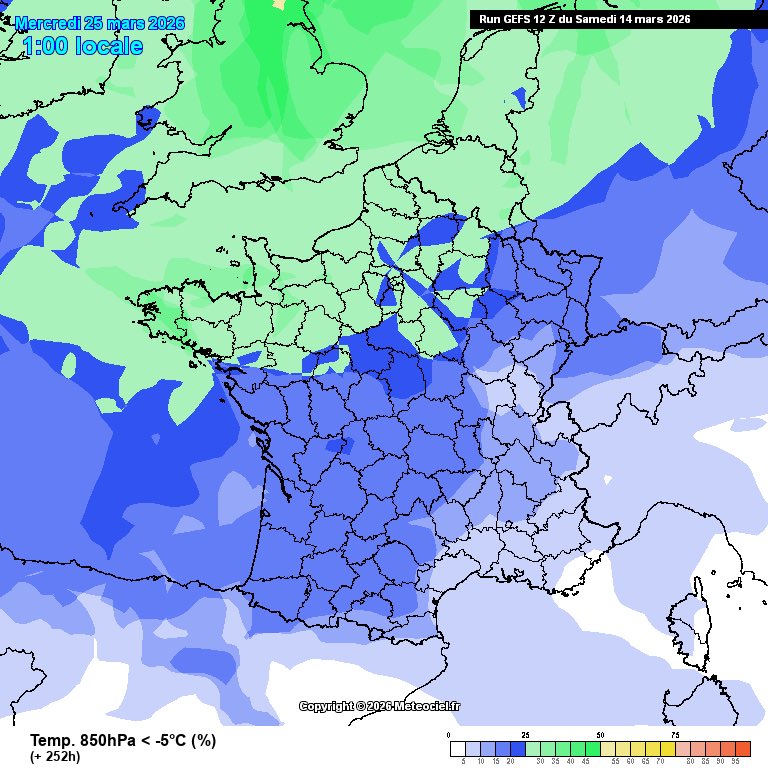 Mohamed 🇩🇿🇫🇷ⵣ tweet media