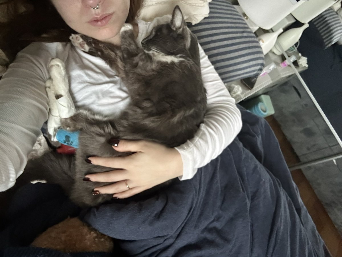 Victoria Arakelyan tweet media