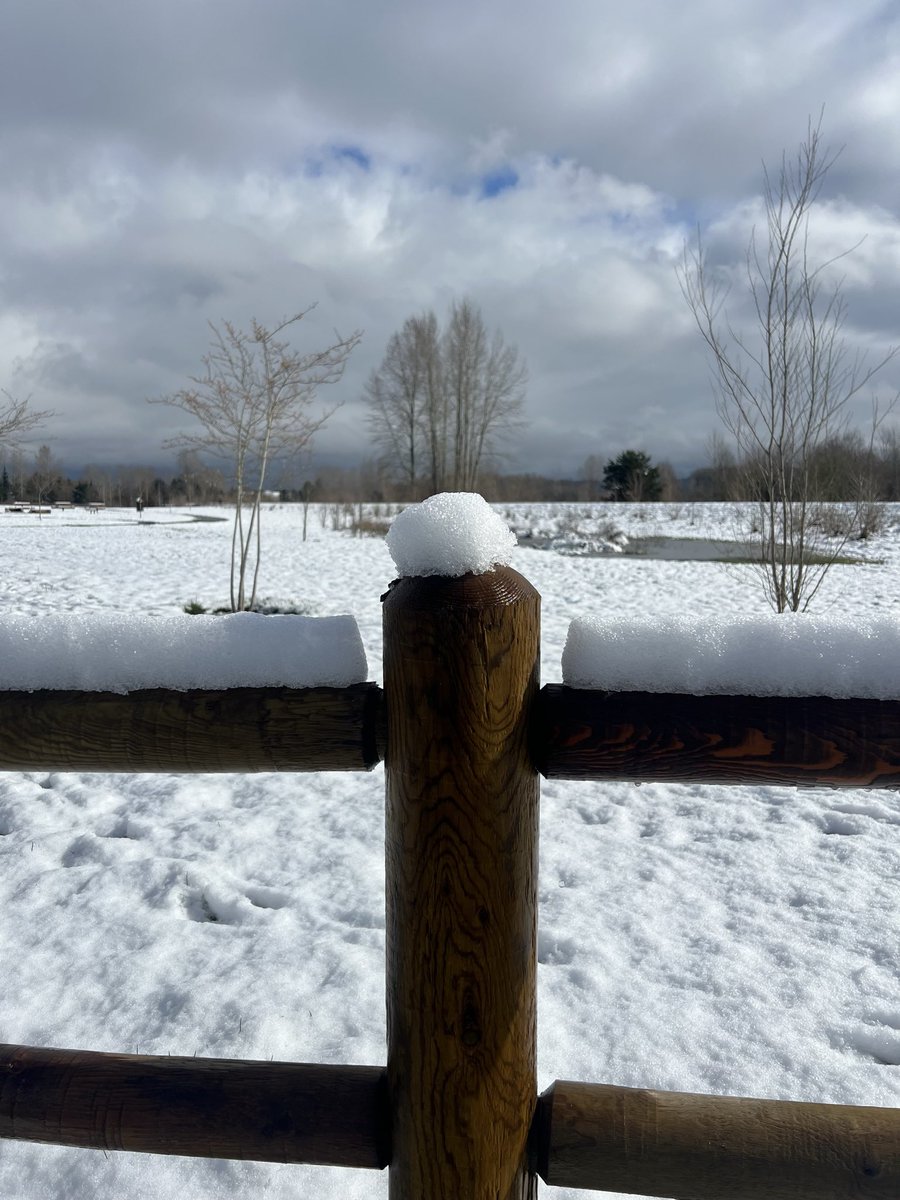 i8ipod's tweet photo. @KSeattleWeather #snow https://t.co/qm9BdNT1M5