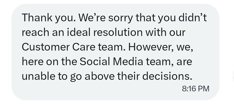 Lisa Freschi tweet media