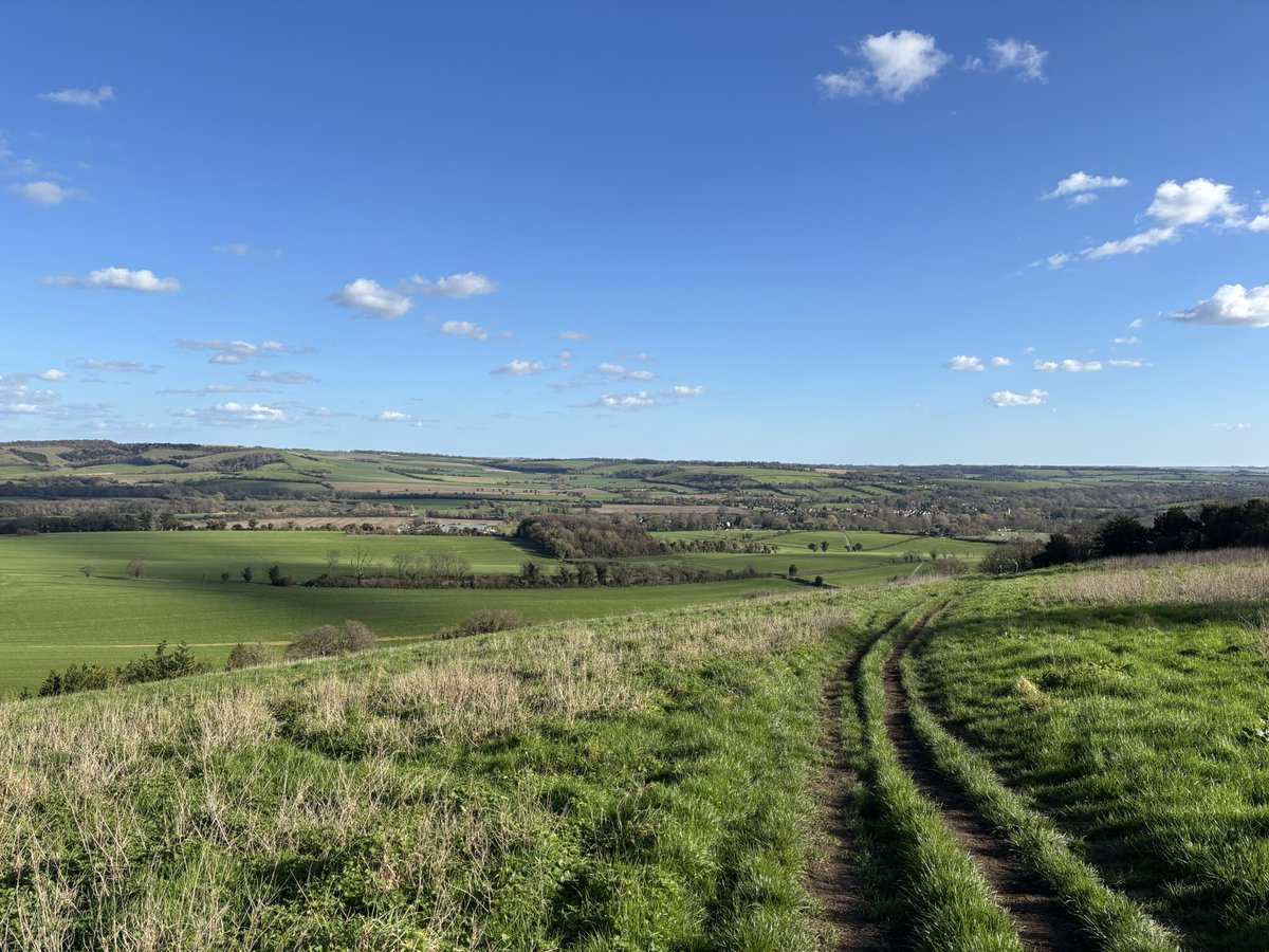 Un Chat Andalou tweet media