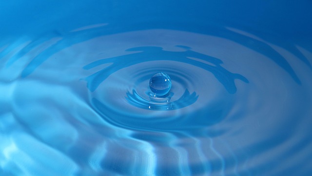 Joe Spoja tweet media