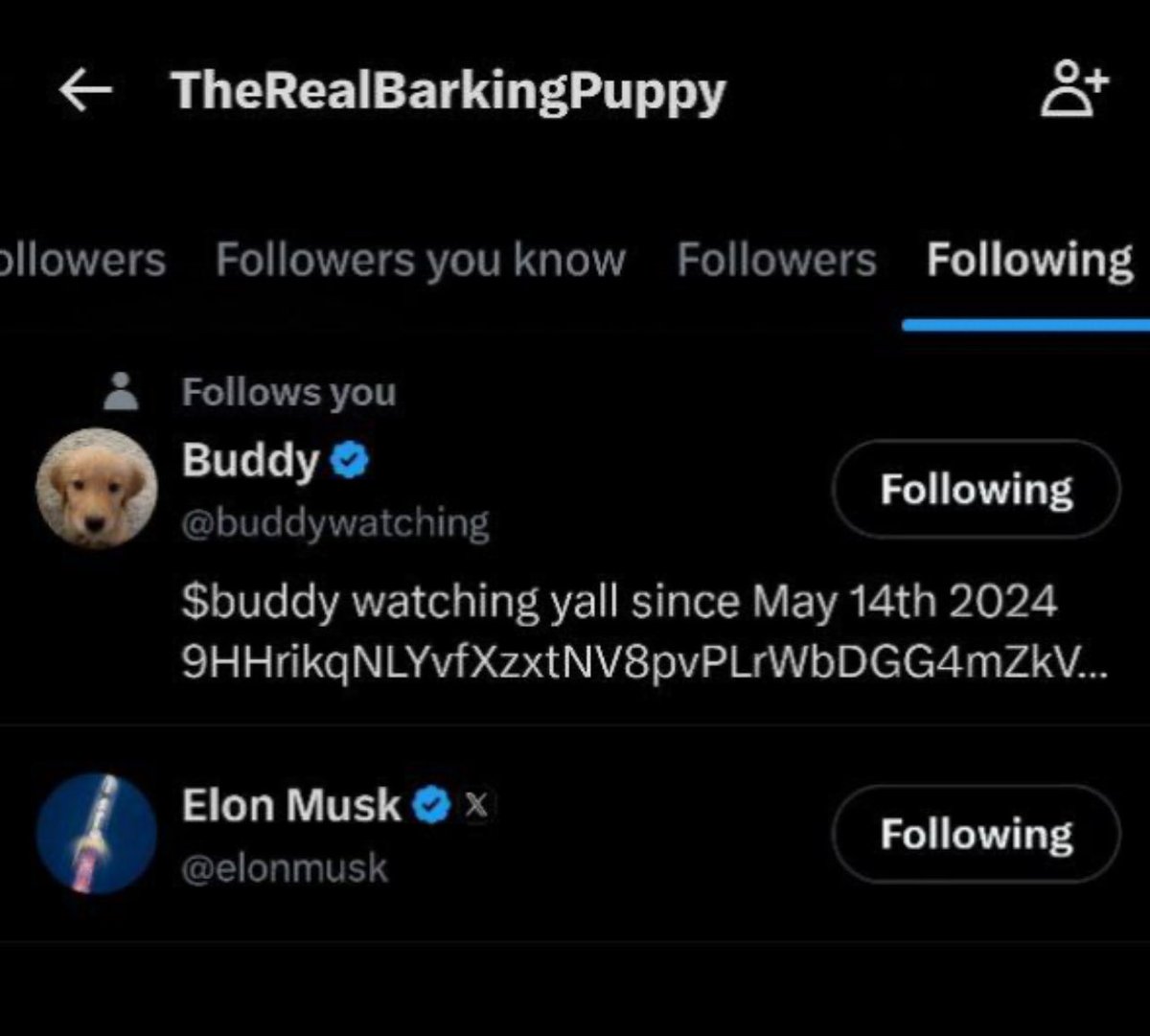 $BUDDY is rocketship ready