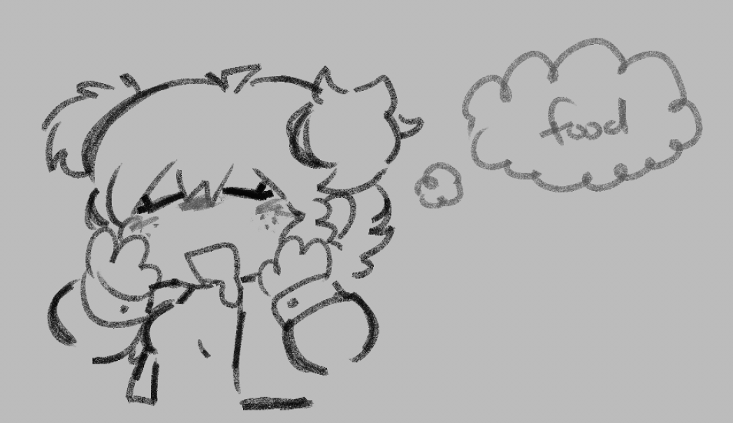 flower fields (HIATUS) tweet media