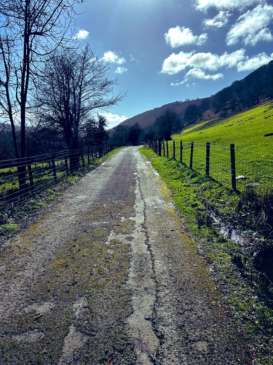 leannemilesLM's tweet photo. Nice little 5k today☀️🕶️😎
#gettingbacktoit
#sunshine
#lovebeingoutside
#freshair
#differentroute https://t.co/7NjjIg47u8