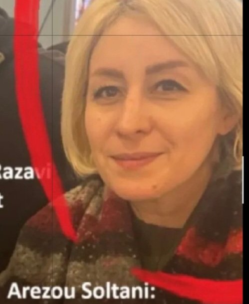 Babak Taghvaee - The Crisis Watch tweet media