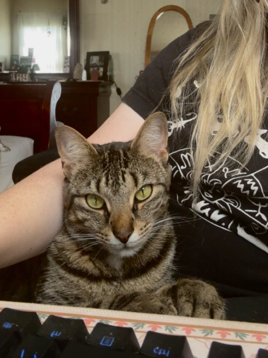 Sylviem ♡ tweet media