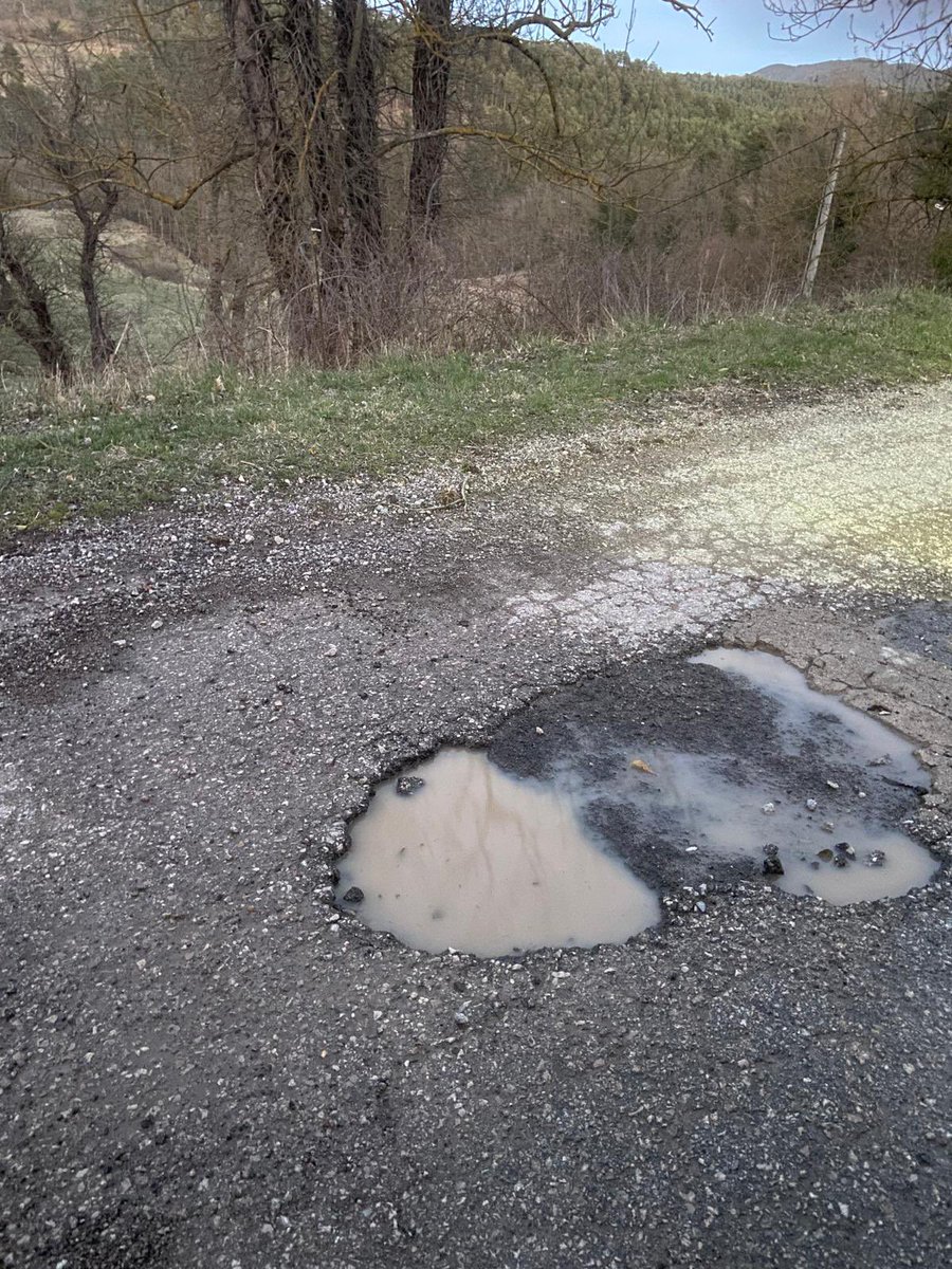 Albert Gusi tweet media