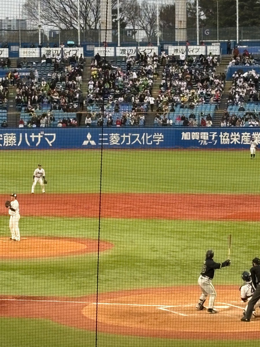 Matthew Orso tweet media