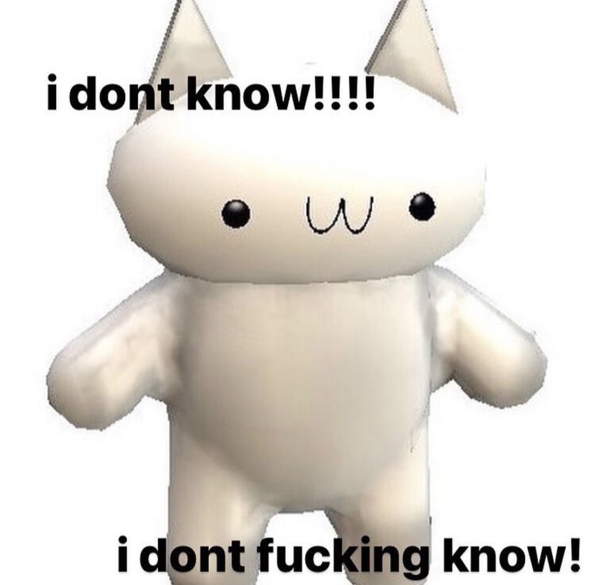 LiterallyMeCats tweet media