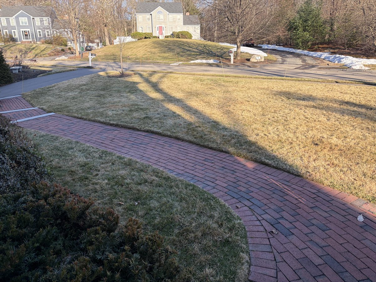 Brian H Levesque tweet media