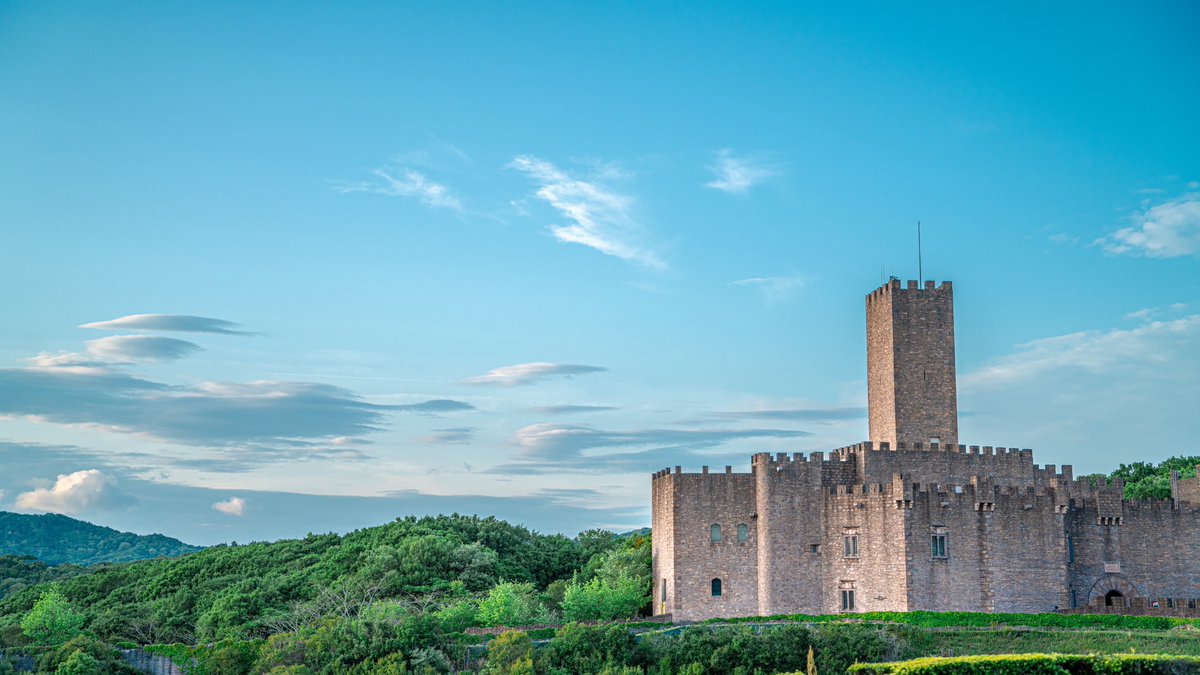 福ちゃん　📷 tweet media