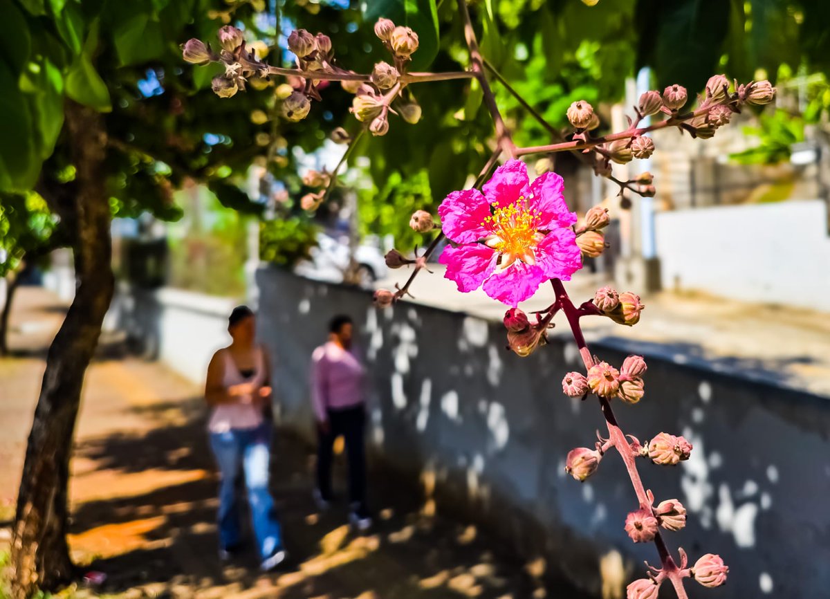 José Isabel Blandón tweet media