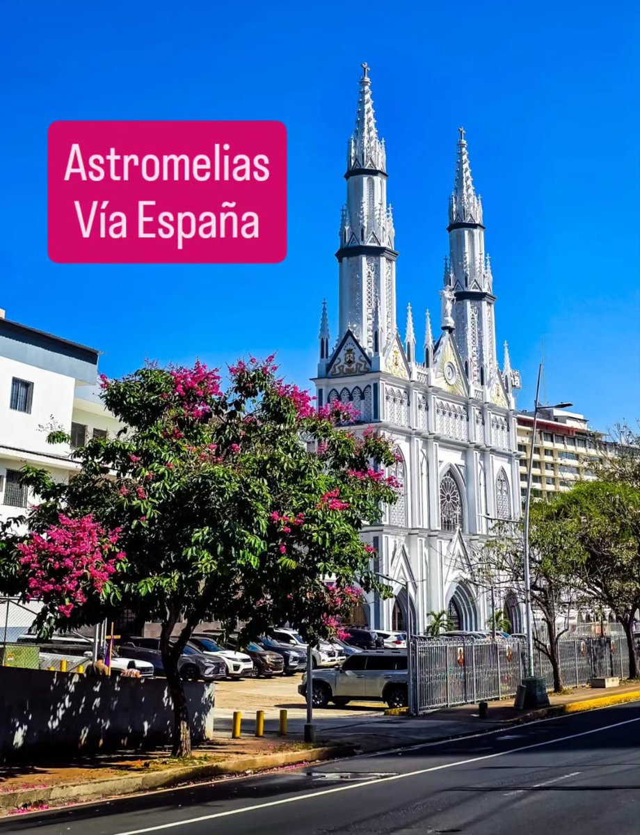 José Isabel Blandón tweet media