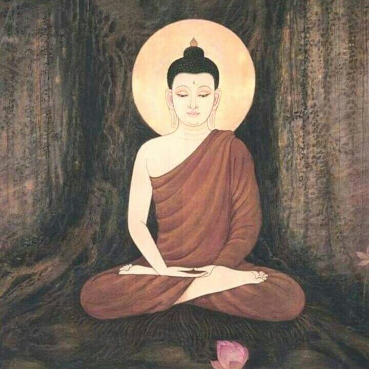 Aryanaga 𓁼 tweet media