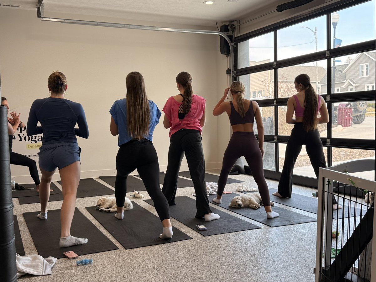 Premier NE 16 Black tweet media