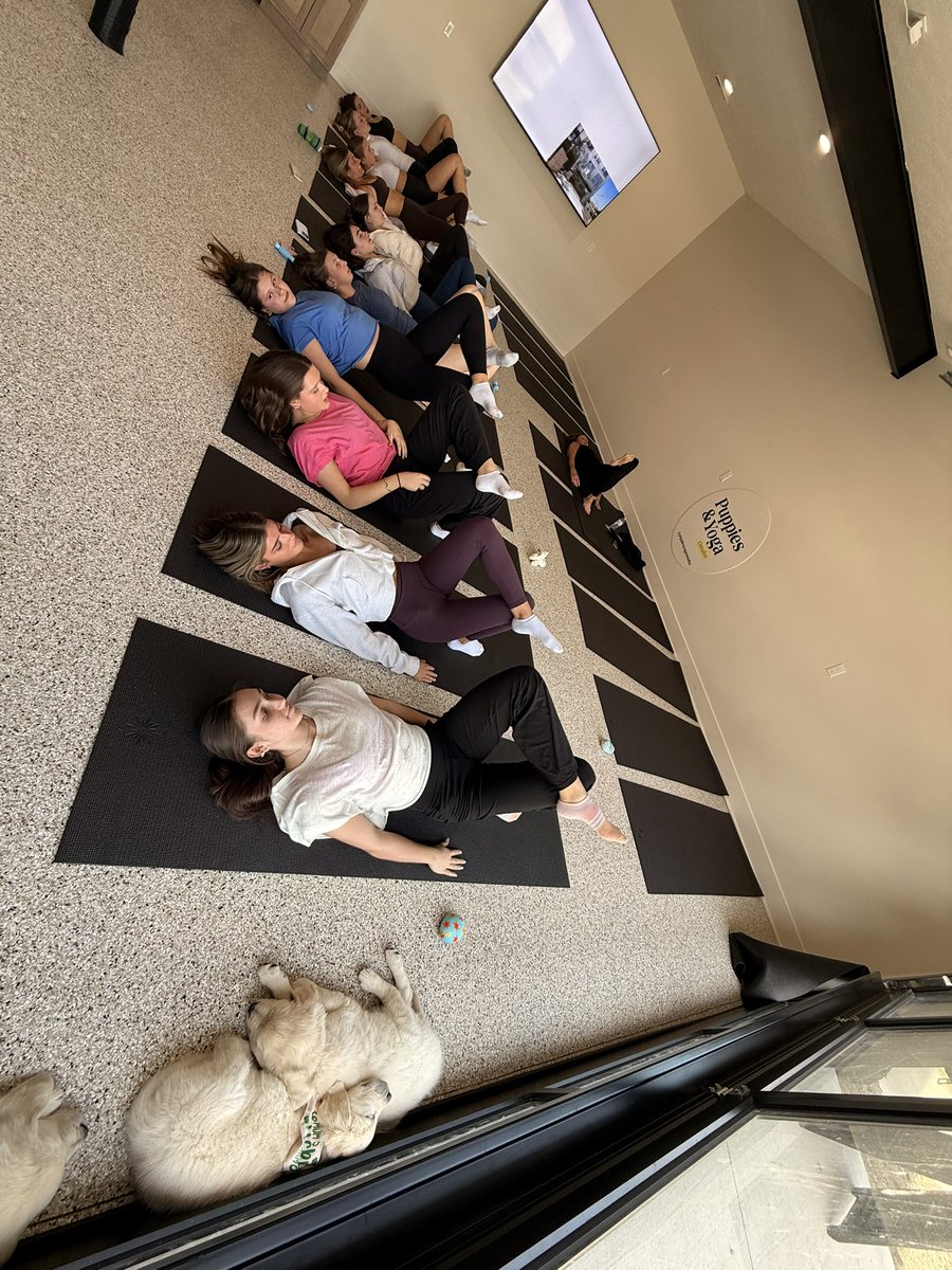 Premier NE 16 Black tweet media