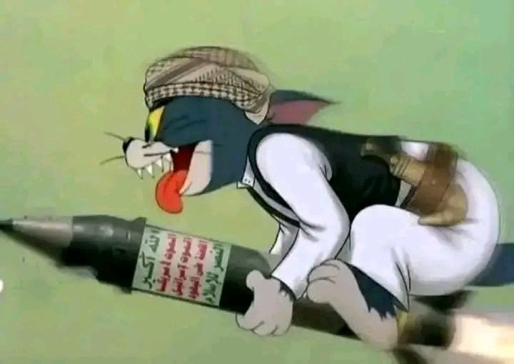 محمد الواصلي 🇾🇪 tweet media