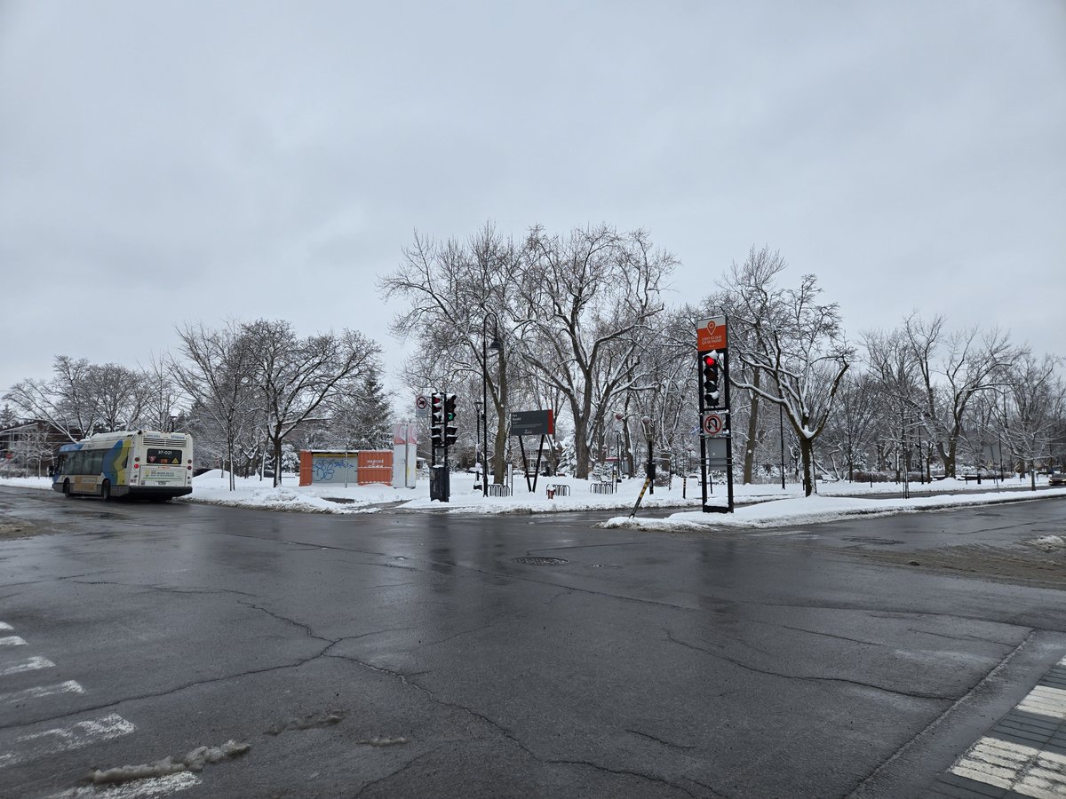 WalkMontreal tweet media