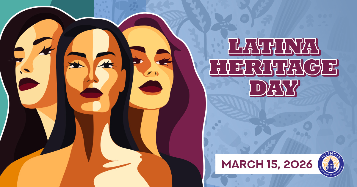 Senator Castro tweet media