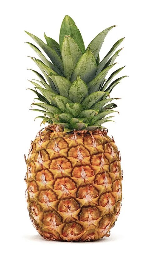 Adopt Me! News tweet media