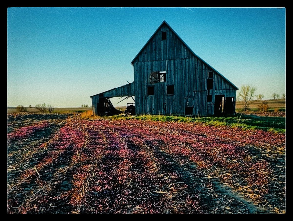 DMiller52325459's tweet image. Let's see your barn pics! 📸