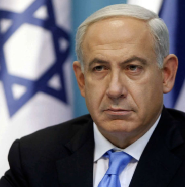 Polysights tweet media