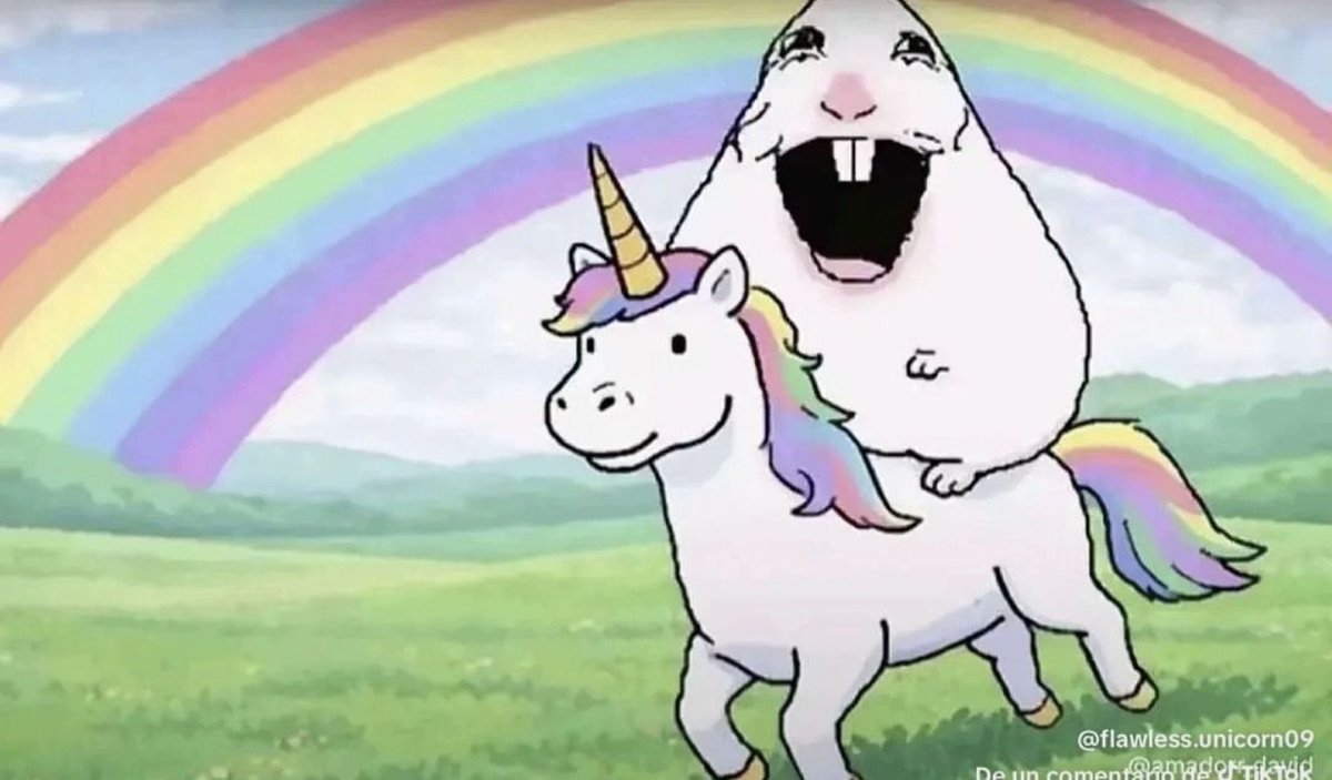 xerzzy XP tweet media