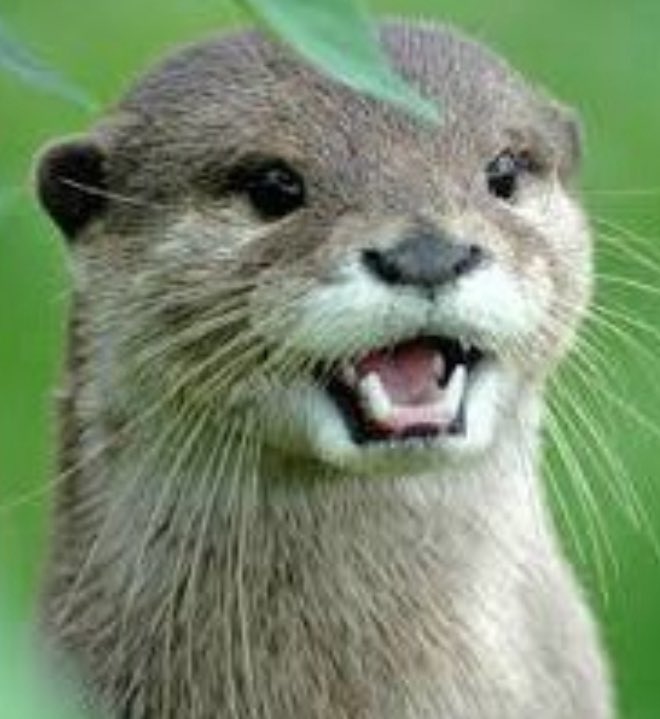 ˗ˏˋtayˎˊ˗ tweet media