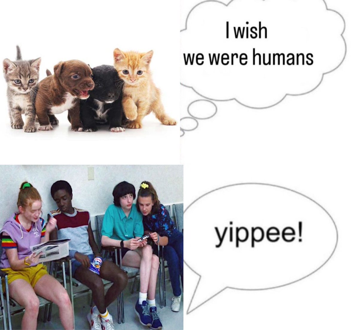 eleanor ⋆˚࿔ tweet media