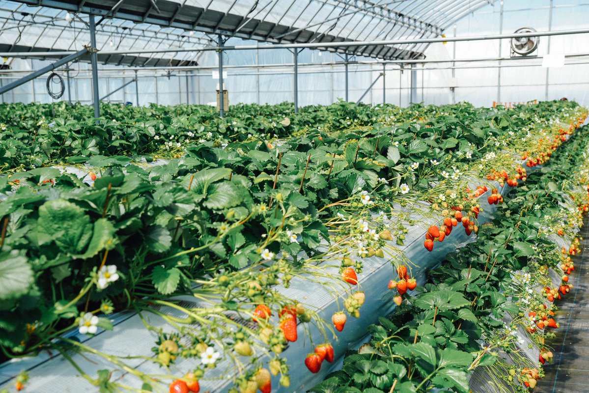 ˗ˏˋ Jesse Hanley ˎˊ˗ tweet media