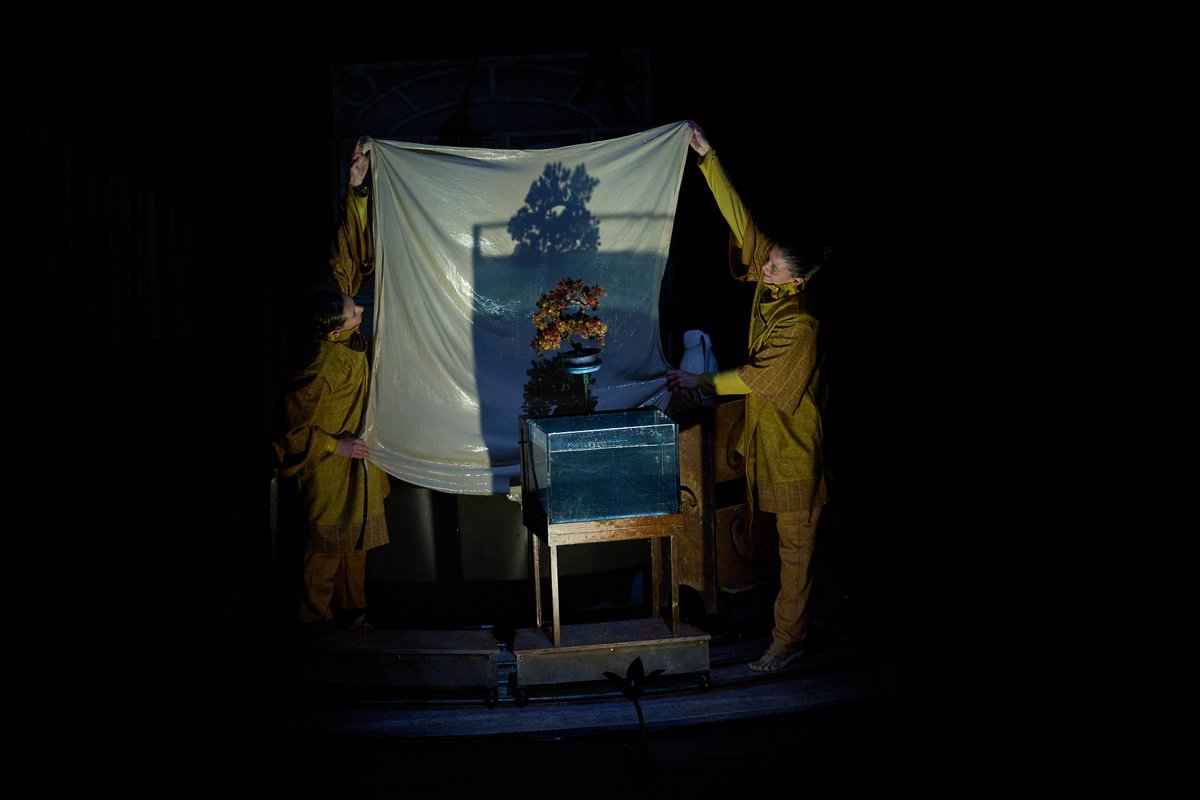 Fundación Baluarte tweet media