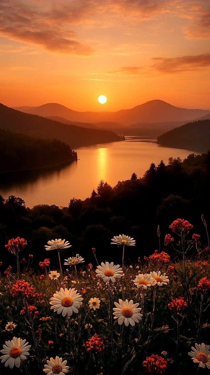 🌾🩵Թɑղժօɾɑ 🩵🌾 tweet media