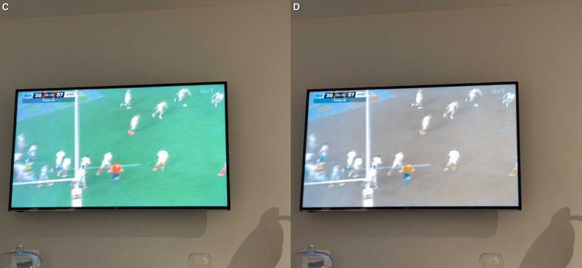 Marie Difolco tweet media