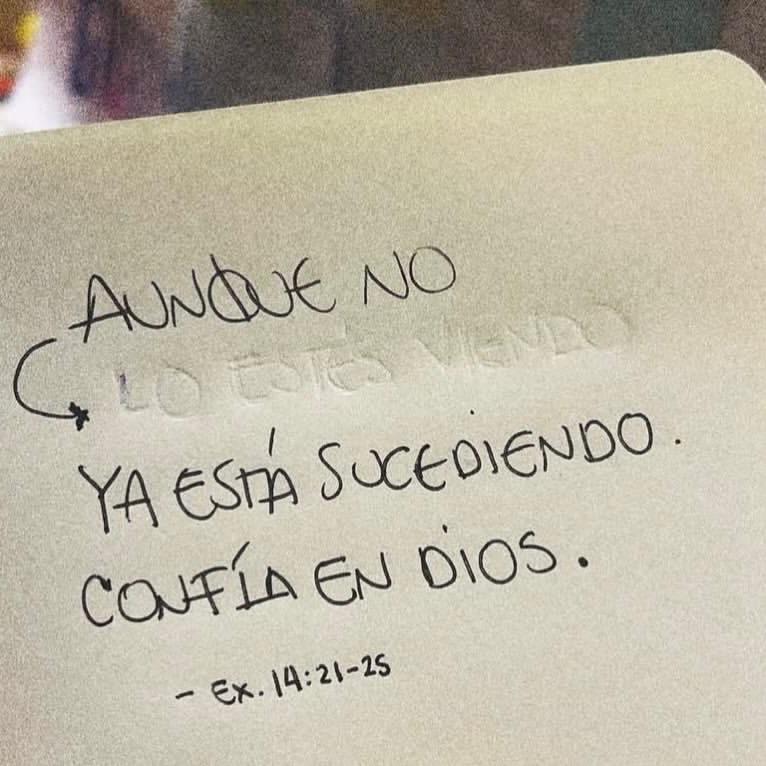 GOD'S PLAN (@god_s_lover) on Twitter photo 