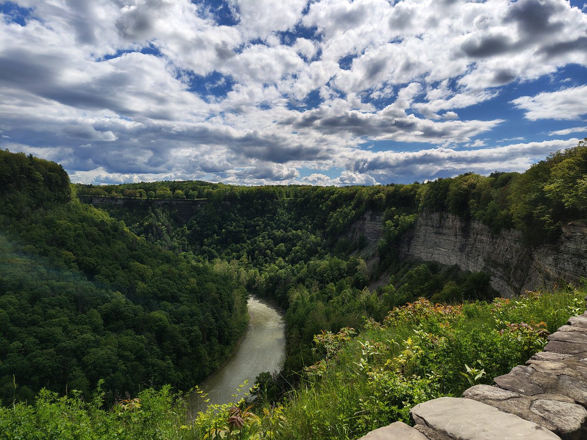 I'm not funny tweet media