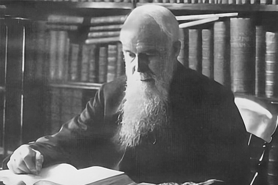 𝙱.𝙰. 𝙿𝚞𝚛𝚝𝚕𝚎 tweet media