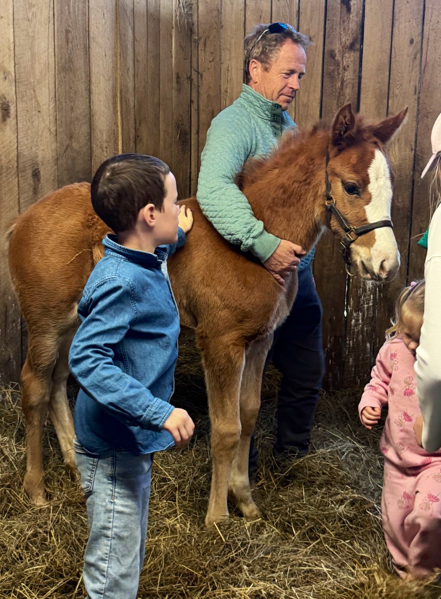 Tom Ryan tweet media